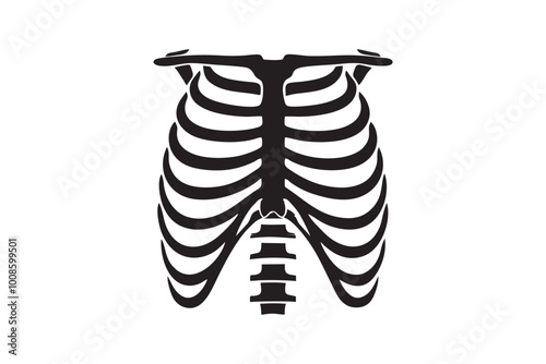 Torso, skeleton, ribcage, anatomy, bones, x-ray, chest, thorax, vertebrae, spine, sternum, monochrome, black and white, contrast, silhouette, graphic, illustration, vector, stylized, medical, biologic