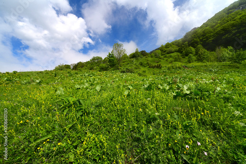 Gebirgslandschaft im Biogradska Gora Nationalpark, Montenegro // Mountain range in Biogradska Gora National Park, Montenegro photo