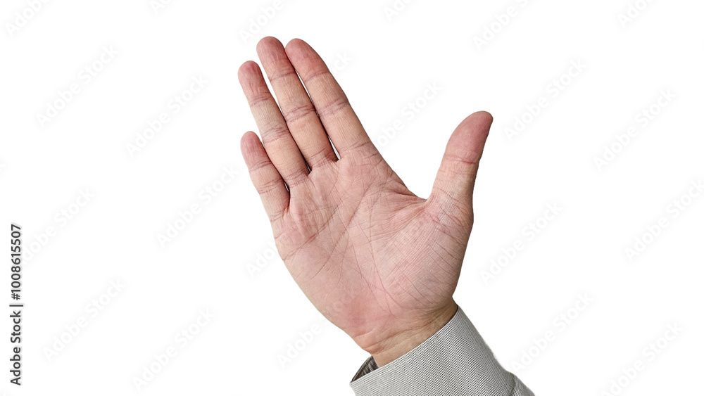 손가락과 손바닥으로 손모양을 표현한 사진