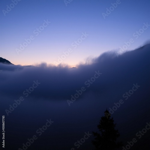 fog in nature