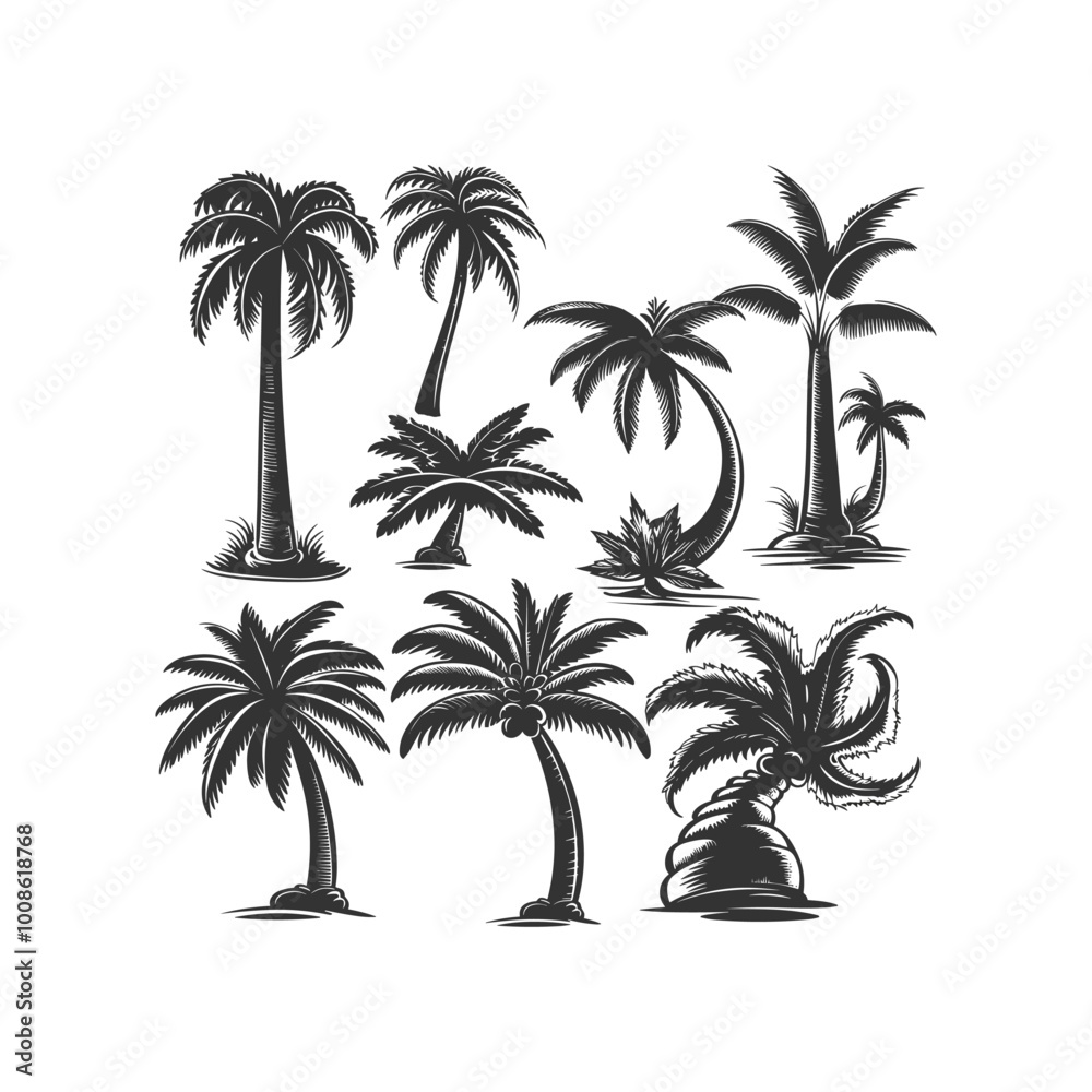 Obraz premium Set of palm tree engraved vintage design