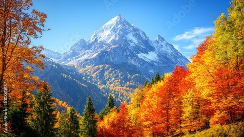  Towering mountain peak, autumn scenery with vibrant fall colors, clear sky with no clouds, crisp atmosphere, golden and red leaves.