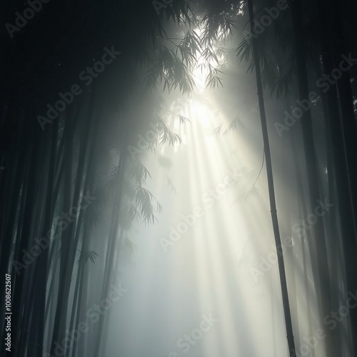 fog in nature