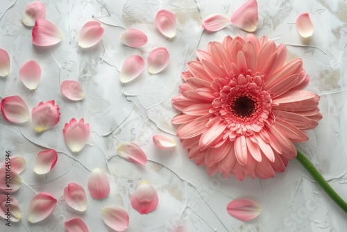 Creative Floral Arrangement: Artistic Pink Flower with Petal Patterns






