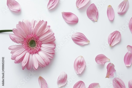Creative Floral Arrangement: Artistic Pink Flower with Petal Patterns






