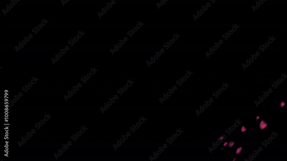 Beautiful Floating Rose Petals on a Dark Background Beautiful Floating Rose Petals on a Dark Background