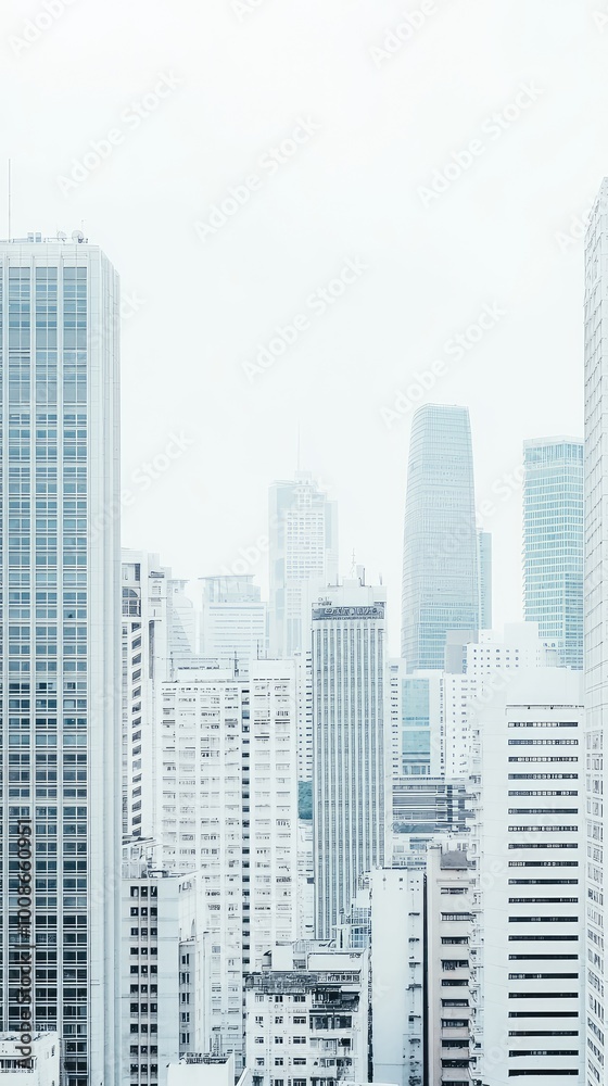 Fototapeta premium A serene city skyline featuring tall skyscrapers against a light sky, capturing the essence of urban minimalism and modern architecture.