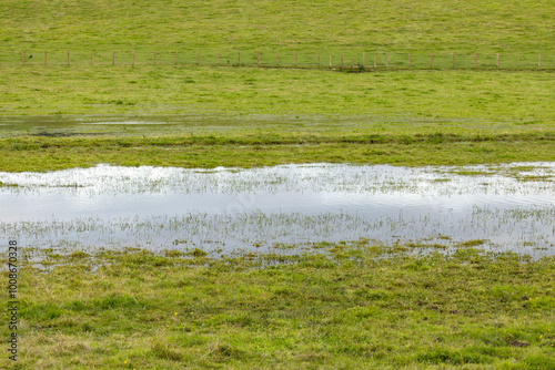 Картината върху платно Climate change causing flooded grass field with standing water