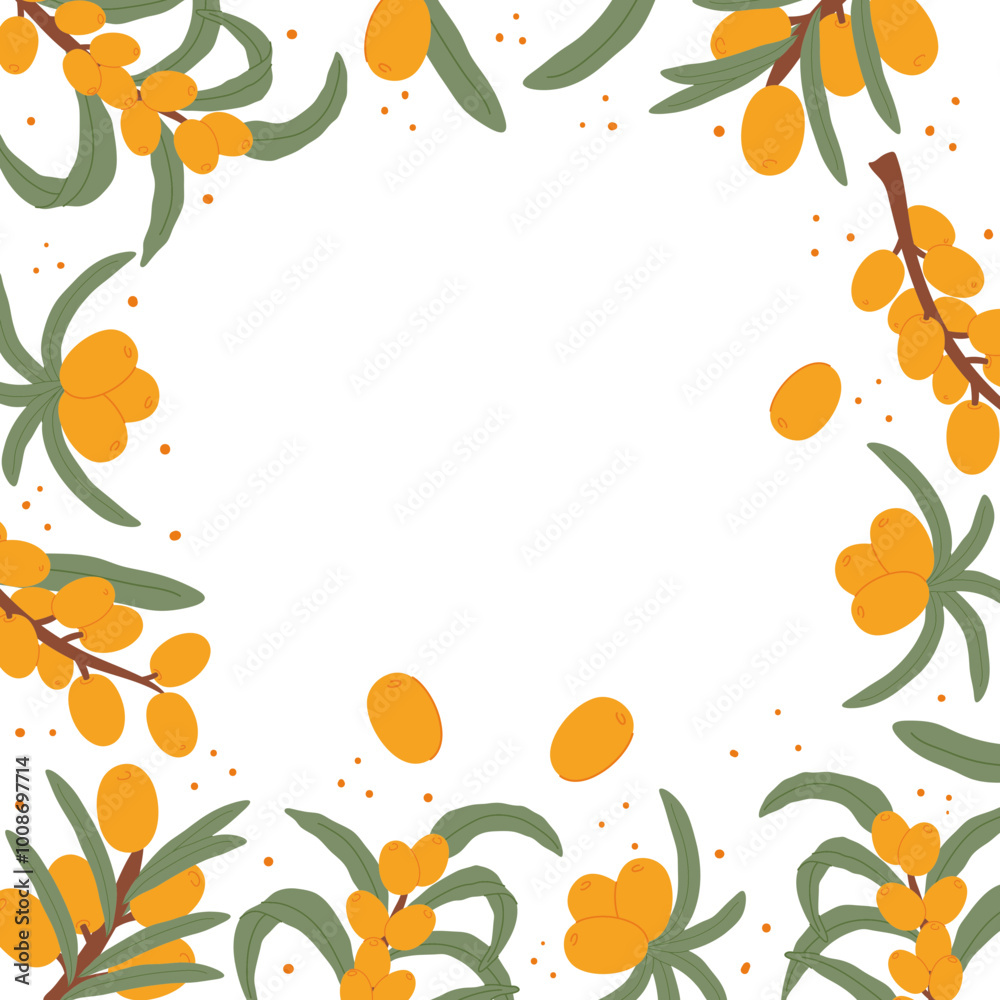 Sea Buckthorn Berries and Leaves Frame Sea Buckthorn Berries and Leaves Frame
