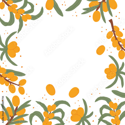 Sea Buckthorn Berries and Leaves Frame