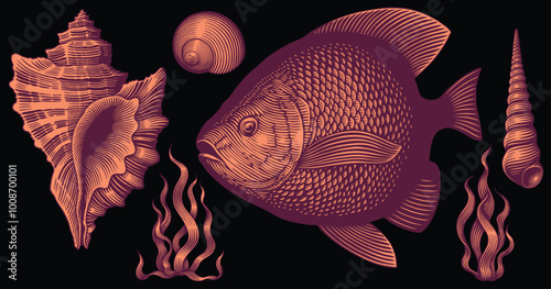Fish and shells. Design set. Editable hand drawn illustration. Vector vintage engraving. Isolated on black background. 8 EPS