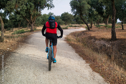 landscape, view, spring, cyclist, bike, road, nature, trees, spa