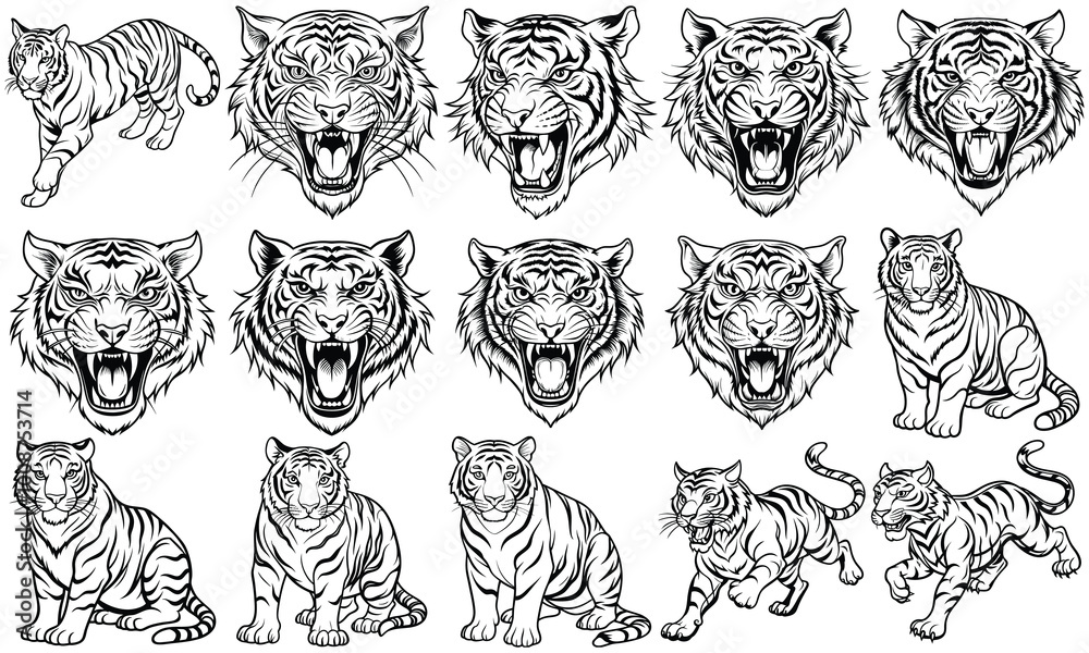 Fototapeta premium Beautiful Tiger Coloring Page for Adults, Intricate Line Art Design Perfect for Relaxation and Stress Relief, Ideal for Adult Coloring Books or Printable Art Therapy Activities, High-Quality Visuals.