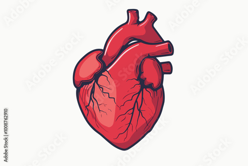 Illustration of a heart