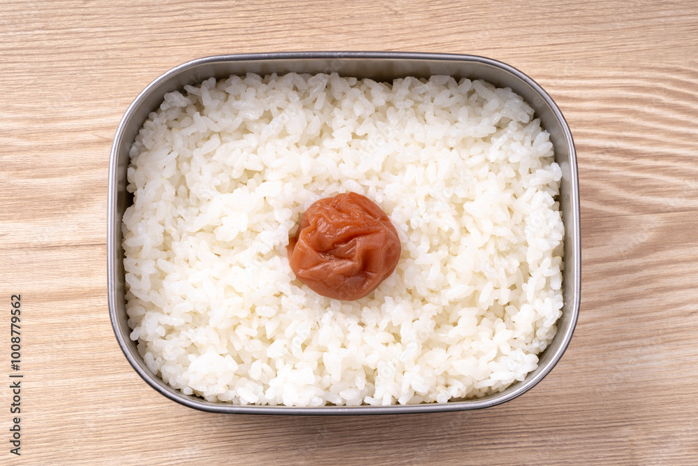 日の丸弁当 日の丸弁当
