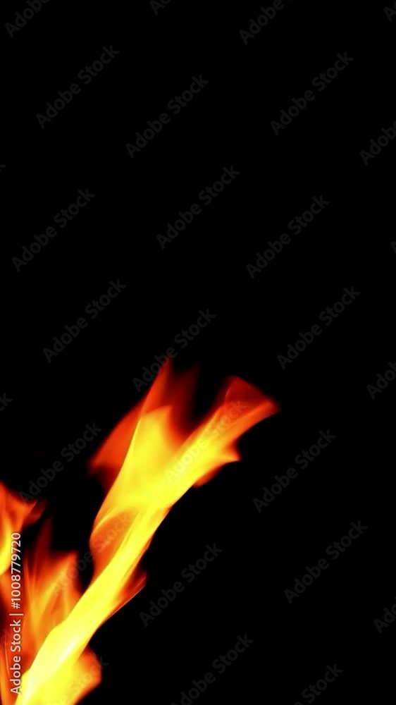 fire flames from left on black background, vertical video
fire flames from left on black background, vertical video