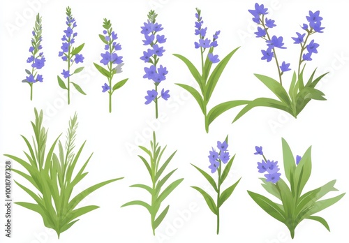 Wallpaper Mural A large set of botanic blossom floral elements. Forest bells. Branches, leaves, herbs, wild plants, flowers. Garden, meadow, field collection of leaves, foliage, and branches. Bloom watercolor Torontodigital.ca