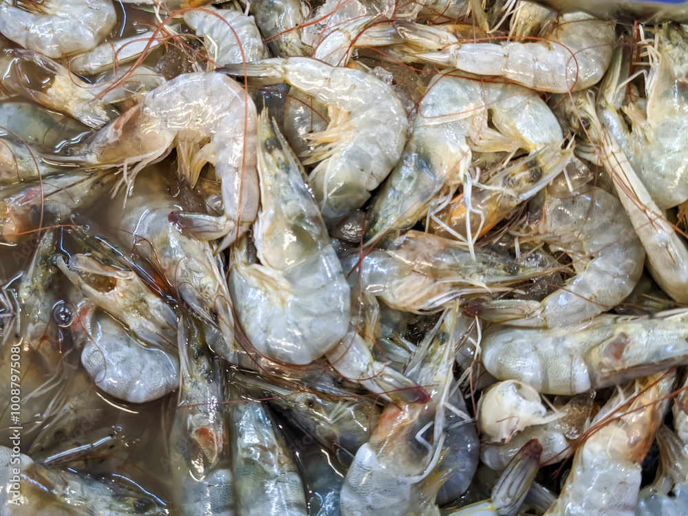 A close-up of shrimp displayed at the supermarket reveals their glossy, translucent shells, shimmering under the store’s bright lights. Their curved bodies are neatly arranged, showcasing a fresh. A close-up of shrimp displayed at the supermarket reveals their glossy, translucent shells, shimmering under the store’s bright lights. Their curved bodies are neatly arranged, showcasing a fresh.