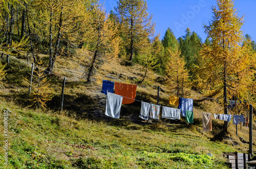 panni stesi in montagna tra alberi
