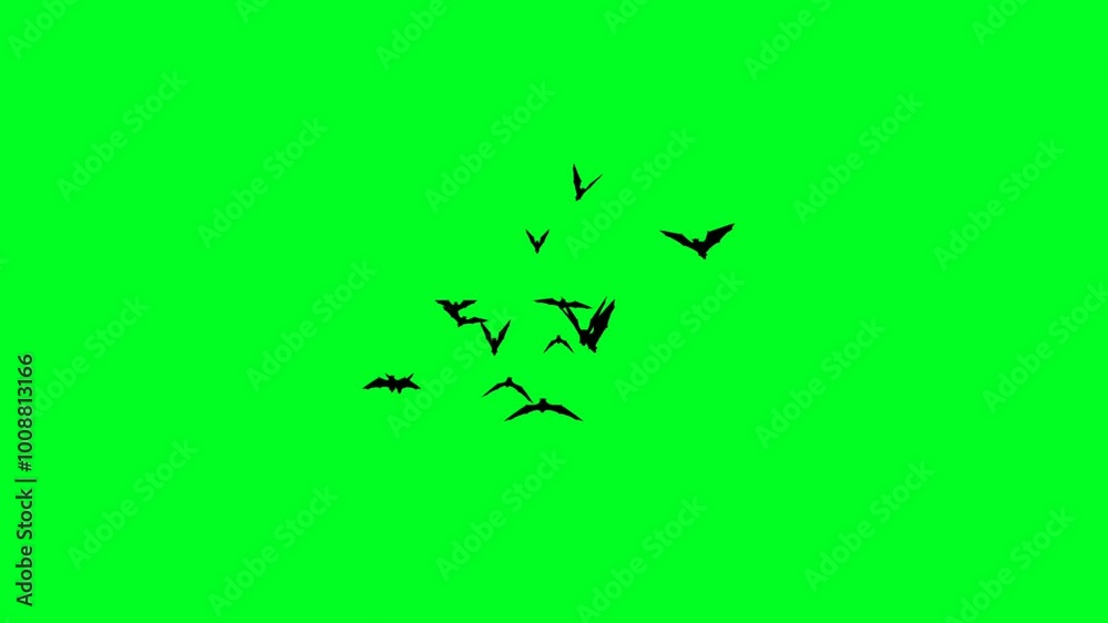 Colony of bats flying on green screen background. Flying Bat Animation on Green Background 4K.