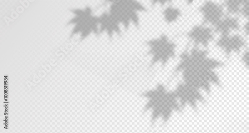 Glare from the sun's rays on the wall. Blurred shadows from leaves and plants in the room. Soft overlay of natural light. 