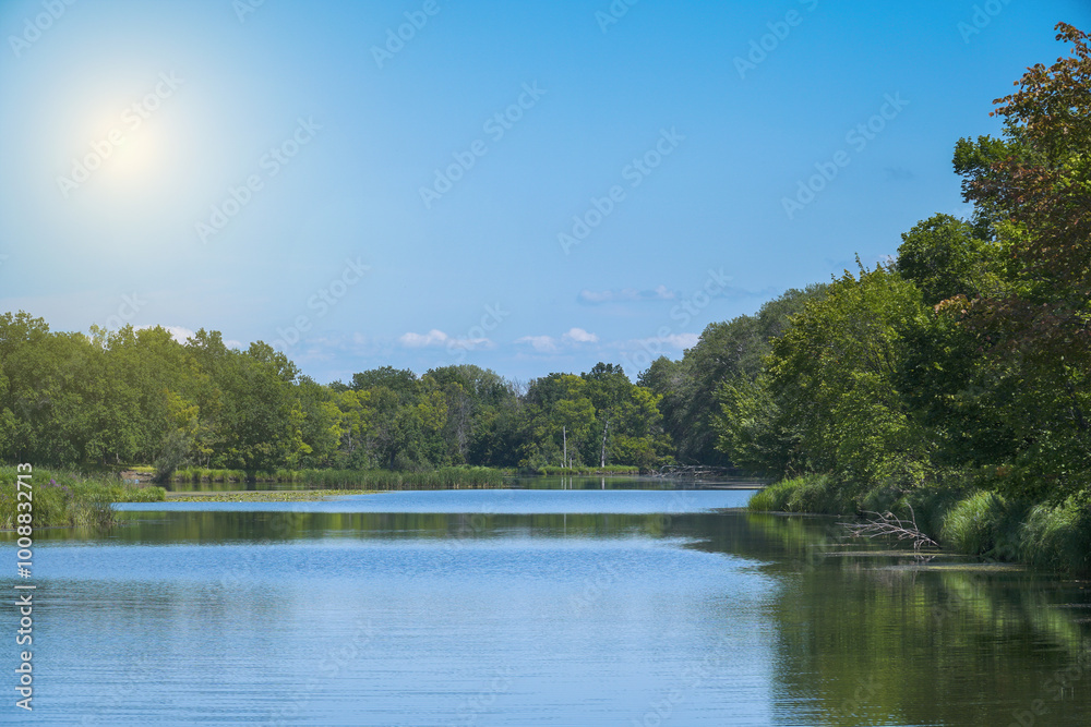 A green forest on the opposite shore of a lake or river A green forest on the opposite shore of a lake or river