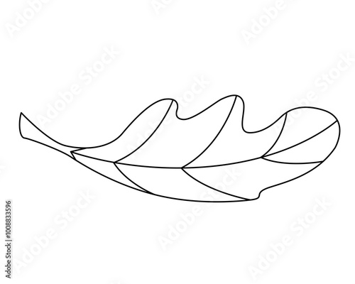 Oak leaf part of plant - vector linear picture for coloring. Outline. Oak leaf, plant for sign or logo