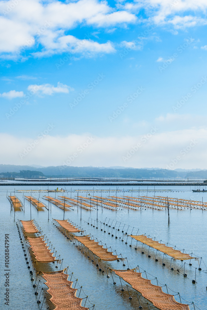 Fototapeta premium 日本三景 松島の海岸を歩く 