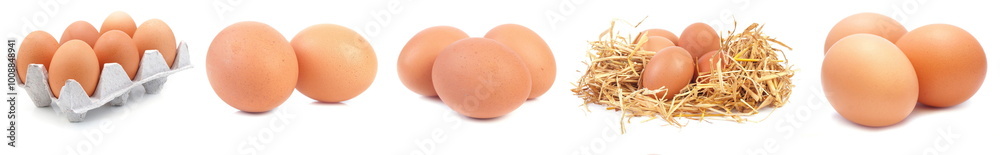 collection eggs isolated white background collection eggs isolated white background