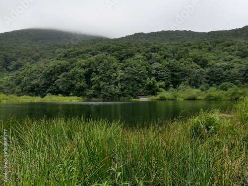 Grand etang, largest natural lake in lesser antilles, with tropical rainforest and clouds over the hills, guadeloupe. Grass area and wilderness photo