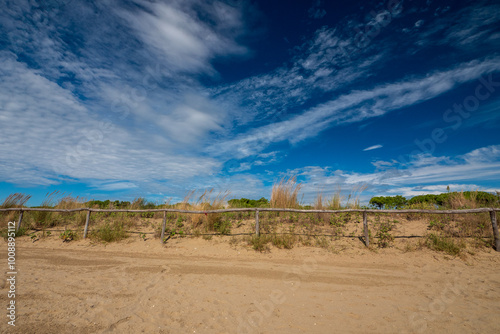 Strand von Cavallino mit Pinienwald und Wolken an einem tiefblauen Himmel im Hintergrund