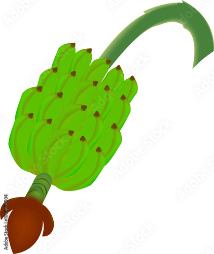 Row of bananas or cluster of plantains vector design on a white background