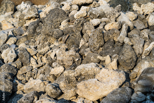 Textures of volcanic rock scattered across a coastal area during late afternoon light, highlighting natural formations and colors