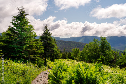 Mountain Landscape, Gaspe Peninsula, Canada photo