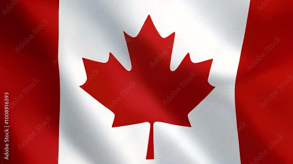 Beautiful Canadian flag flying in the outdoor. Canadian flag waving on the wind, unfiltered and natural lighting, Beautiful Canadian flag flying in the outdoor. Canadian flag waving on the wind, unfiltered and natural lighting,