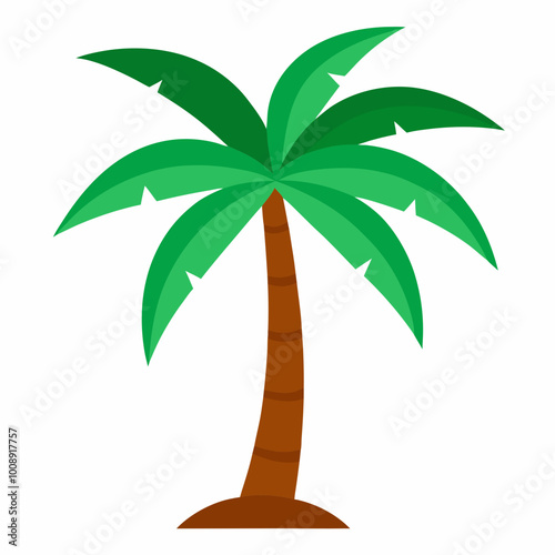 vector illustration of palm tropical tree