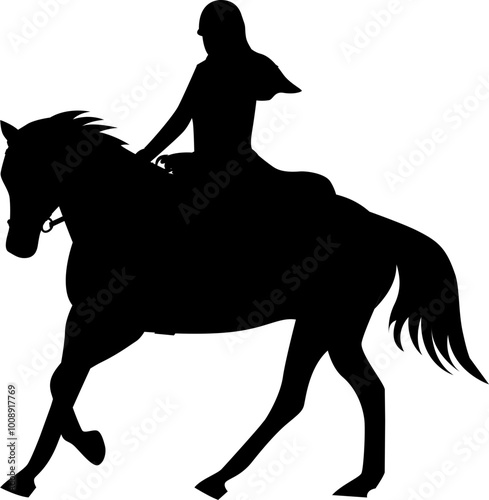 Silhouette of person riding horse. Equestrian sport. Training horseback ride. Professional equestrian competition, dressage performance. Jockey on horse. Champion. 