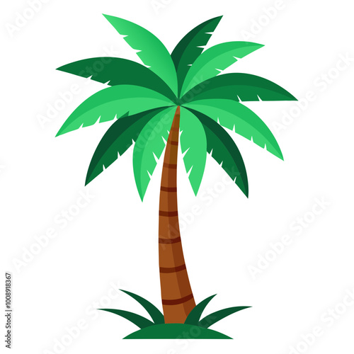 vector illustration of palm tropical tree