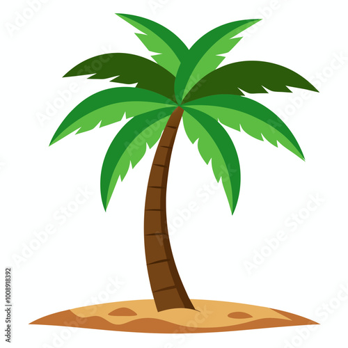 vector illustration of palm tropical tree