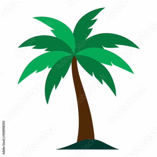 vector illustration of palm tropical tree