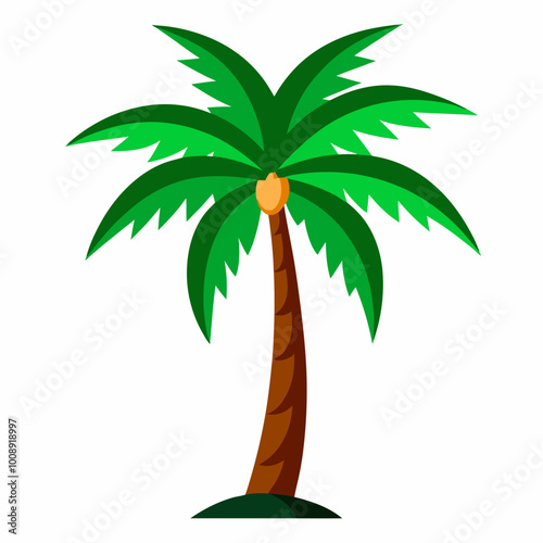 vector illustration of palm tropical tree