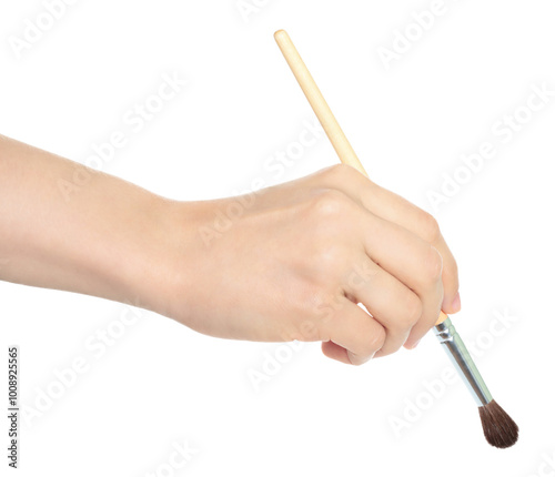 Fototapeta Naklejka Na Ścianę i Meble -  Woman hand holds paint brush, isolated on transparent background, painting and design concept