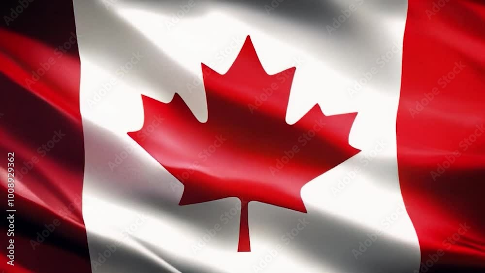 Beautiful Canadian flag flying in the outdoor. Canadian flag waving on the wind, unfiltered and natural lighting, Beautiful Canadian flag flying in the outdoor. Canadian flag waving on the wind, unfiltered and natural lighting,
