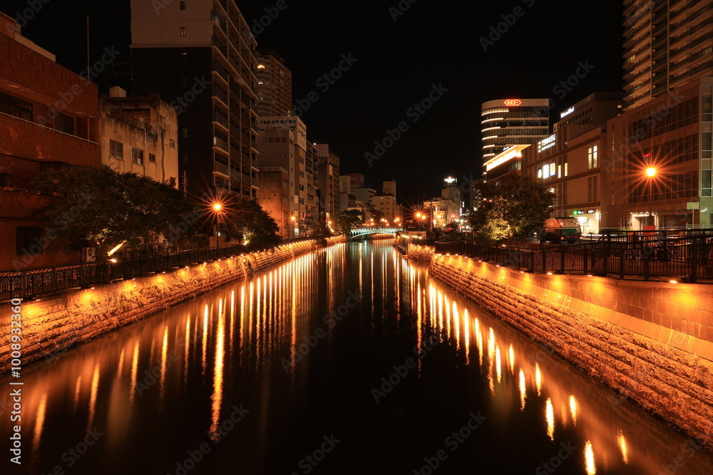 night scene of the city night scene of the city