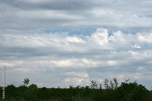 Blue sky with clouds. A hot summer day, the sky is light blue covered with light cumulus clouds. Among the dense clouds, gaps of clear sky appear. The clouds move across the sky changing their shape.