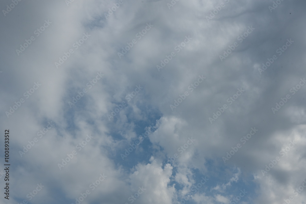 Blue sky with clouds. A hot summer day, the sky is light blue covered with light cumulus clouds. Among the dense clouds, gaps of clear sky appear. The clouds move across the sky changing their shape. Blue sky with clouds. A hot summer day, the sky is light blue covered with light cumulus clouds. Among the dense clouds, gaps of clear sky appear. The clouds move across the sky changing their shape.