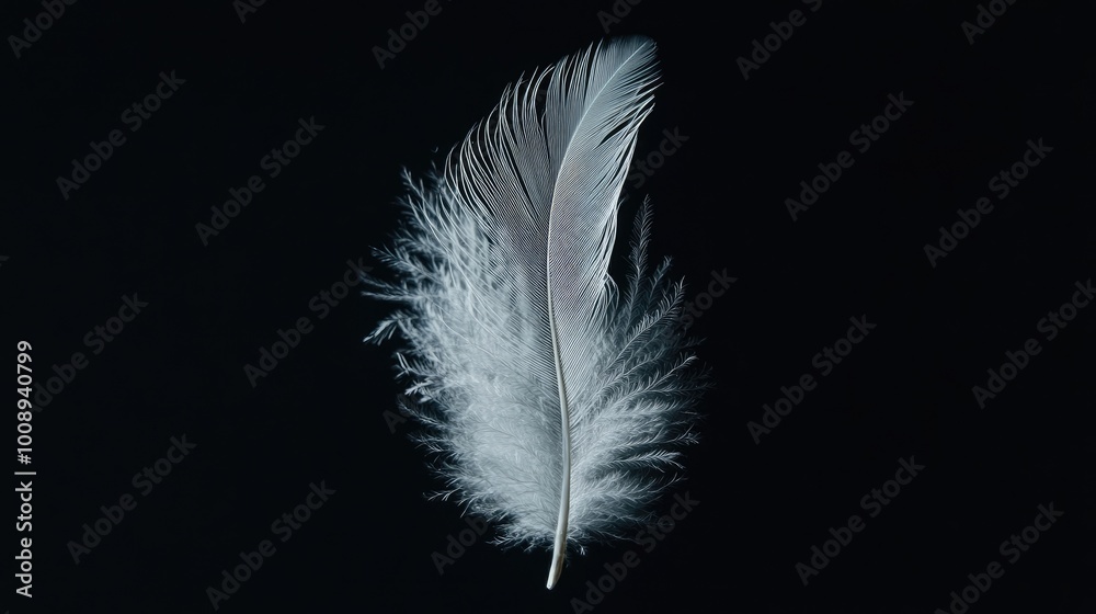 White feather with intricate barbs, softly illuminated against a deep black backdrop White feather with intricate barbs, softly illuminated against a deep black backdrop