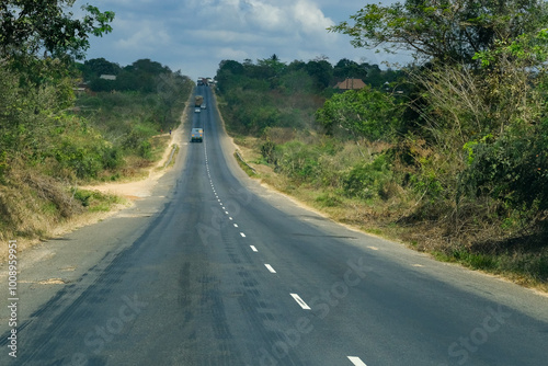 winding road in the forest