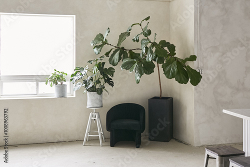 This bright, airy studio features a large window that floods the space with natural light. A variety of potted plants, including a prominent fiddle leaf fig and a monstera, add greenery and life.