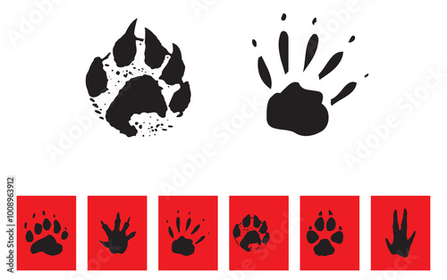 Best Badger footprints icon. Vector Illustration 2025